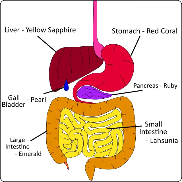 depiction of gemstone astrological remedies for stomach problems