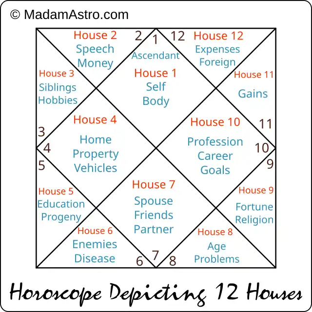 horoscope depicting 12 houses